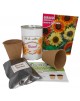 Kit de cultivo Girasol en lata